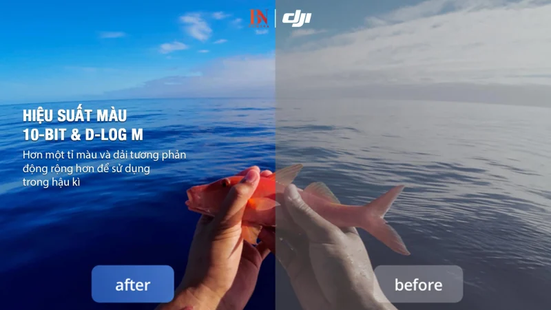 Minh họa quy trình màu D-Log M của DJI Osmo Action 4